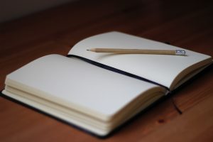 Article Writing – Crack The Creative Nut With Journaling